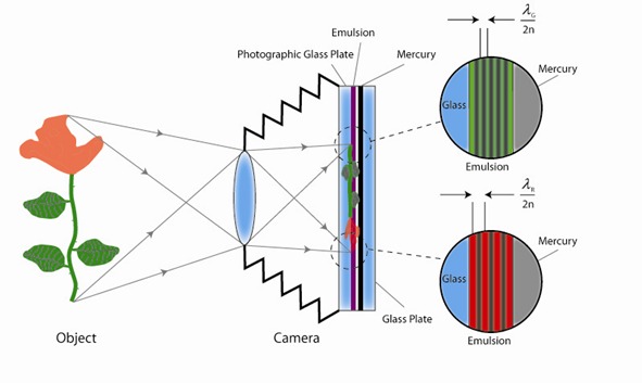 2eacfbd6f32a6d97fe2cfca9b592f131